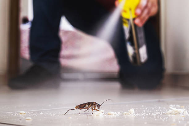 Professional Pest Control in Cresson, PA